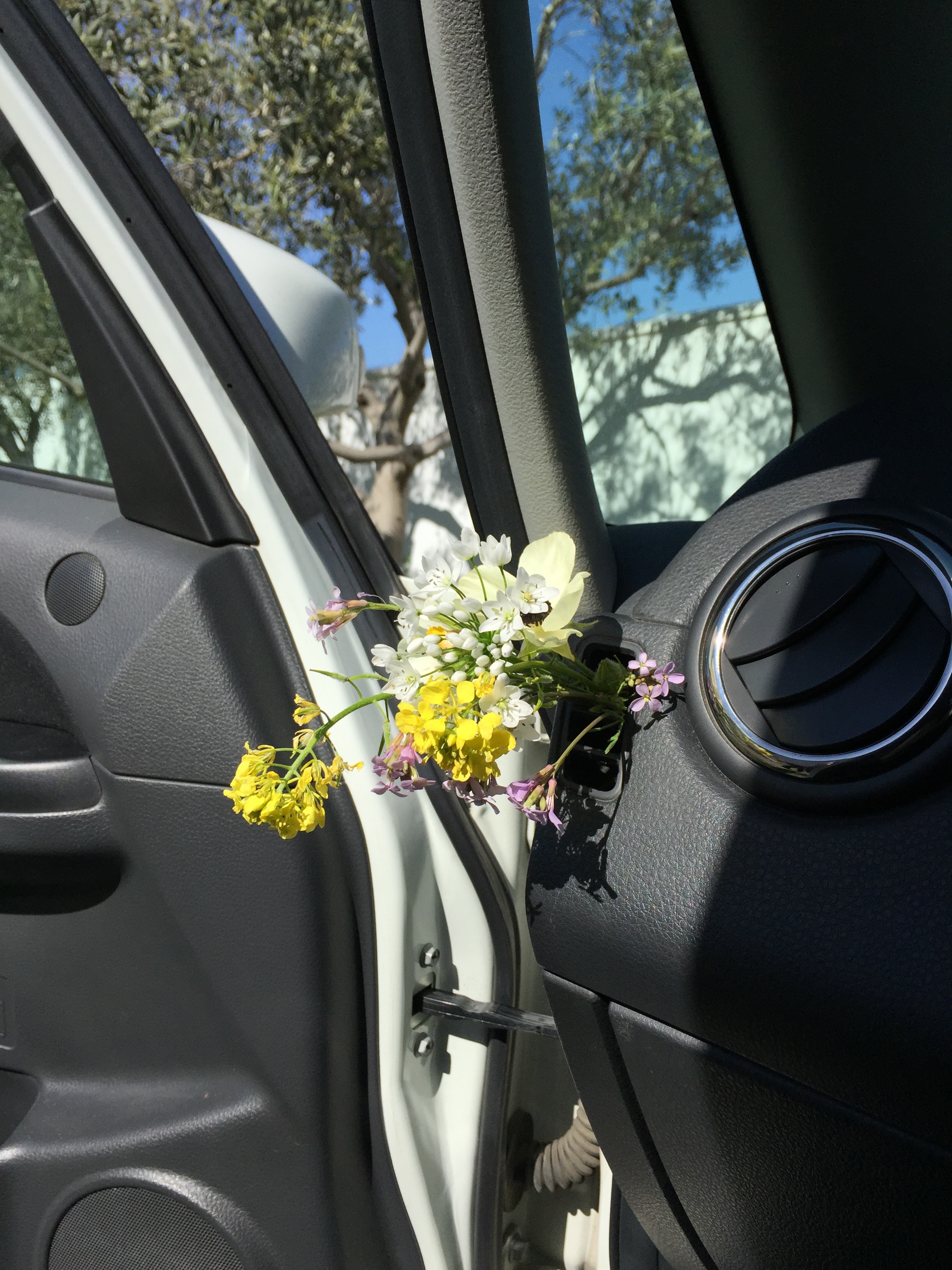 Flowers from Theseas